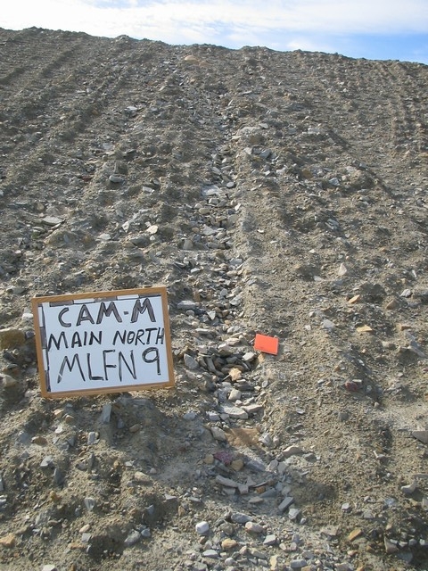 Thumb for 17 aug 05 mlfn9.jpg (3540 KB)